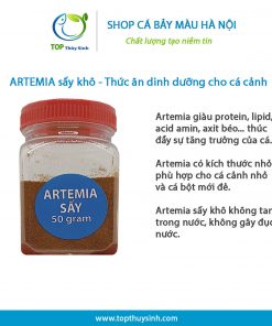 artemia say 2